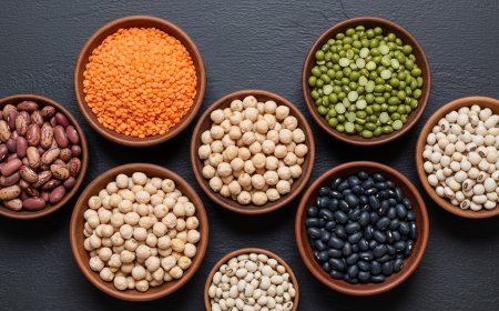 Baklagiller: Bitkisel Protein Kaynakları